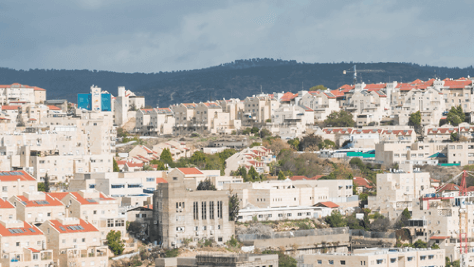 KMS Group BShemesh Gallery LONG